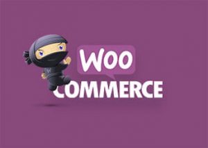 woocommerce